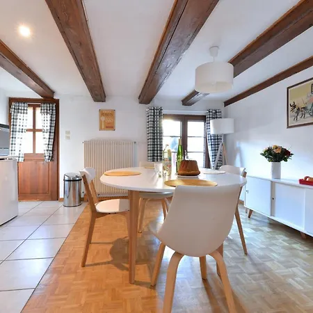 Appartement La Grande Terrasse Du Centre Colmar