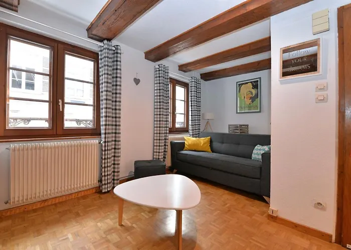 La Grande Terrasse Du Centre * コルマール